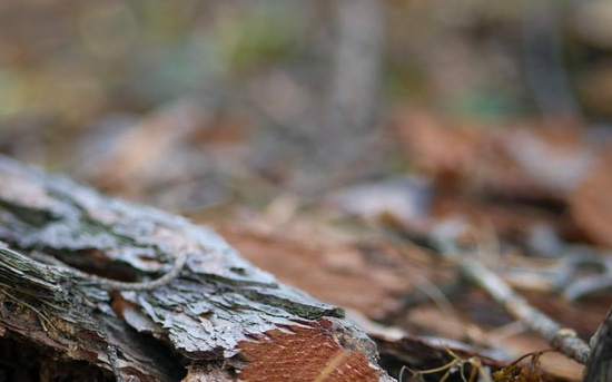 криза середнього віку в чоловіків