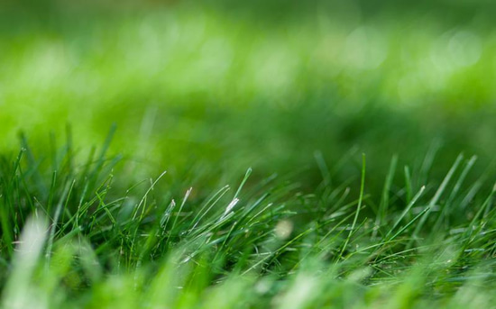 чоловіча самооцінка